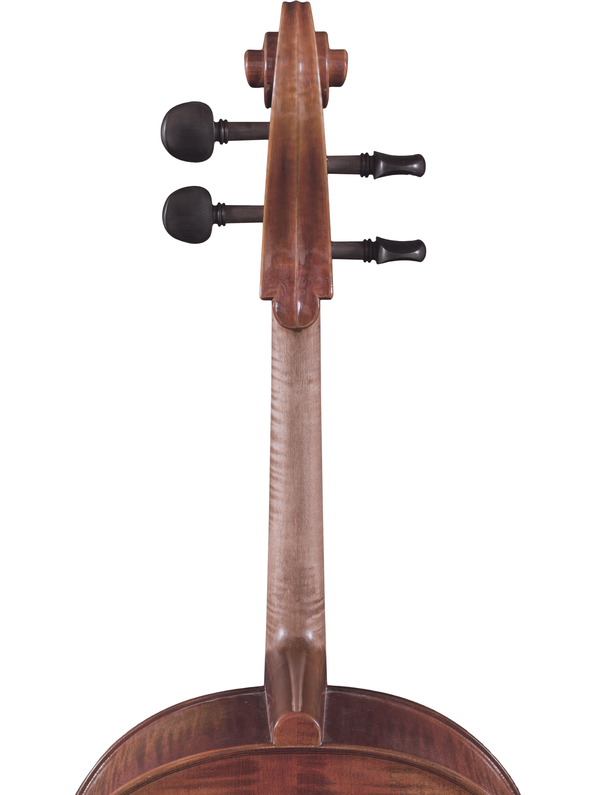 Master Linn Cello — Maple Leaf Strings